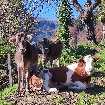 Ferienwohnung Reicherhof Sankt Veit im Pongau Exterior foto