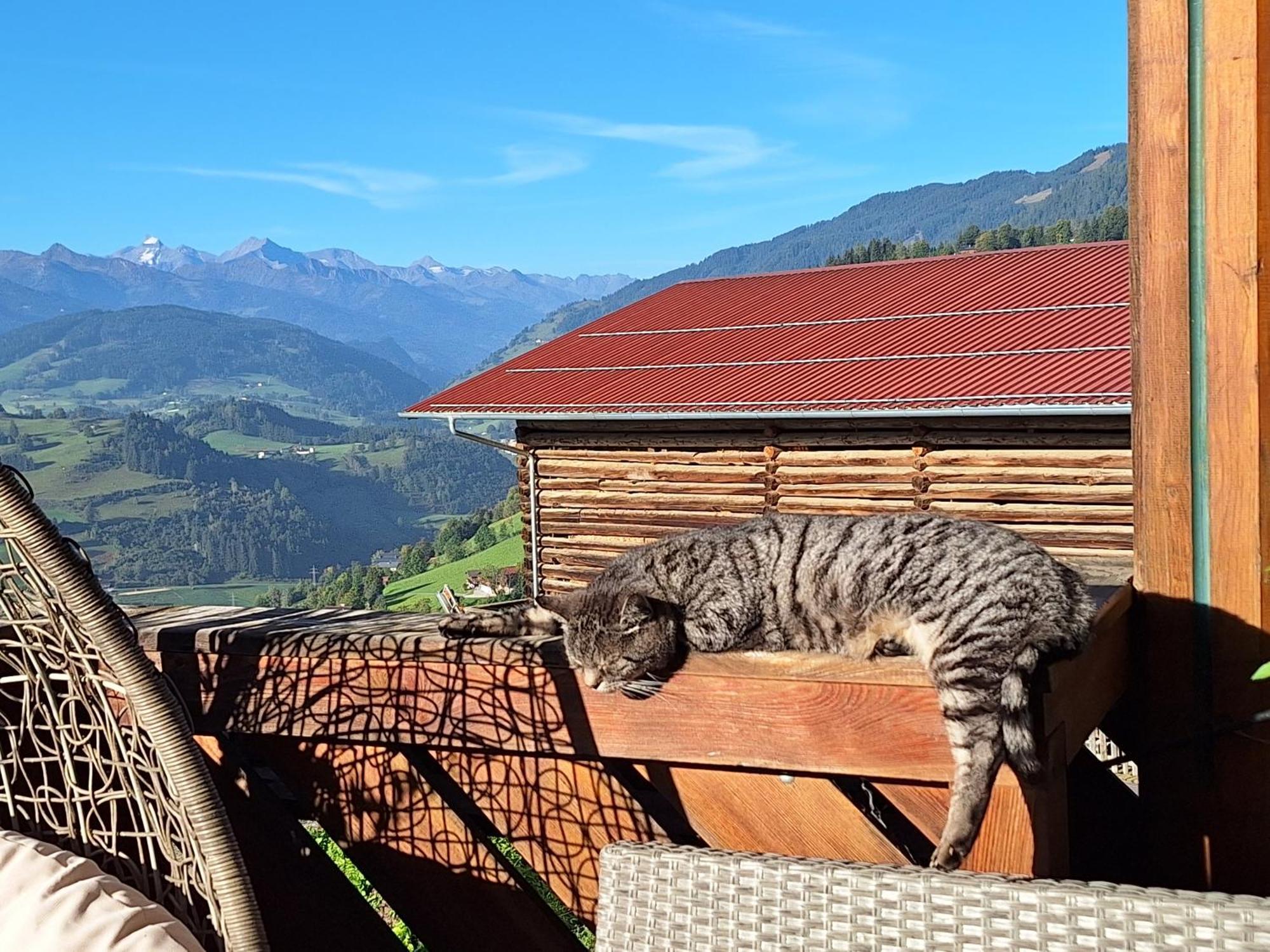 Reicherhof * Sankt Veit im Pongau